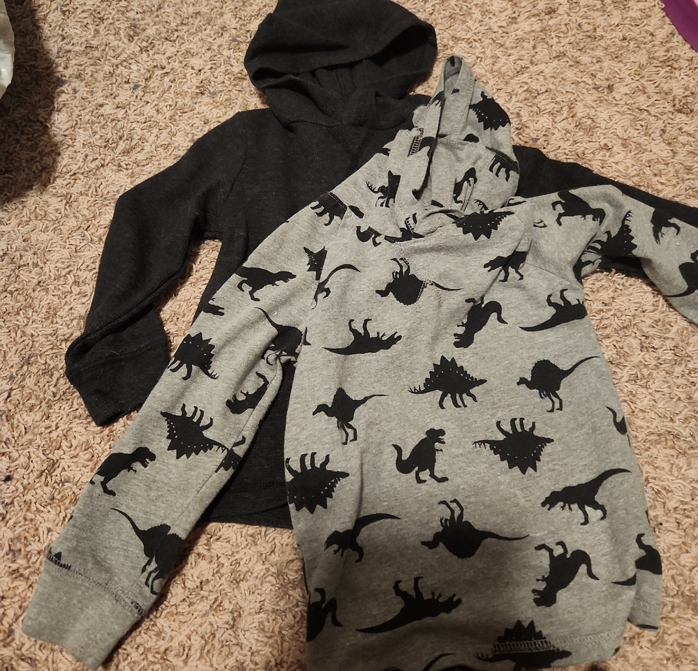 Garanimals Boys Two-Pack Hoodies - Charcoal & Light Gray Dinosaur Print